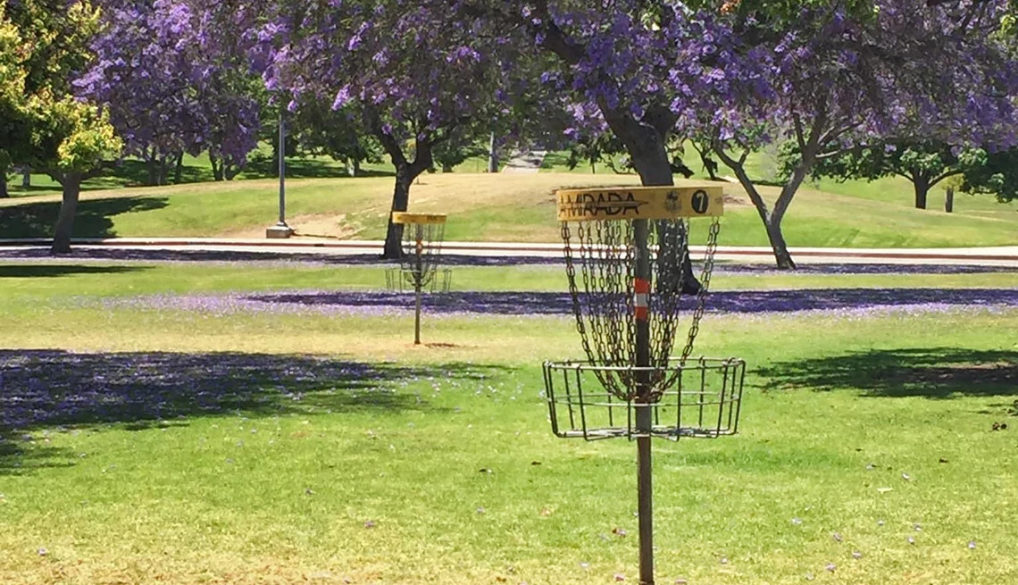 disc golf baskets on a course