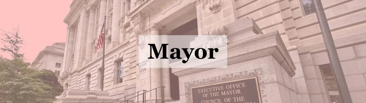 mayor candidates
