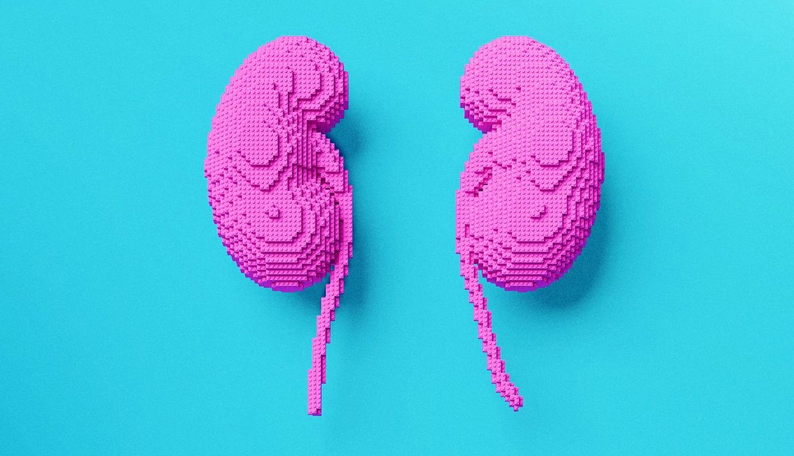 Guide to Kidney Health pink kidneys on blue background
