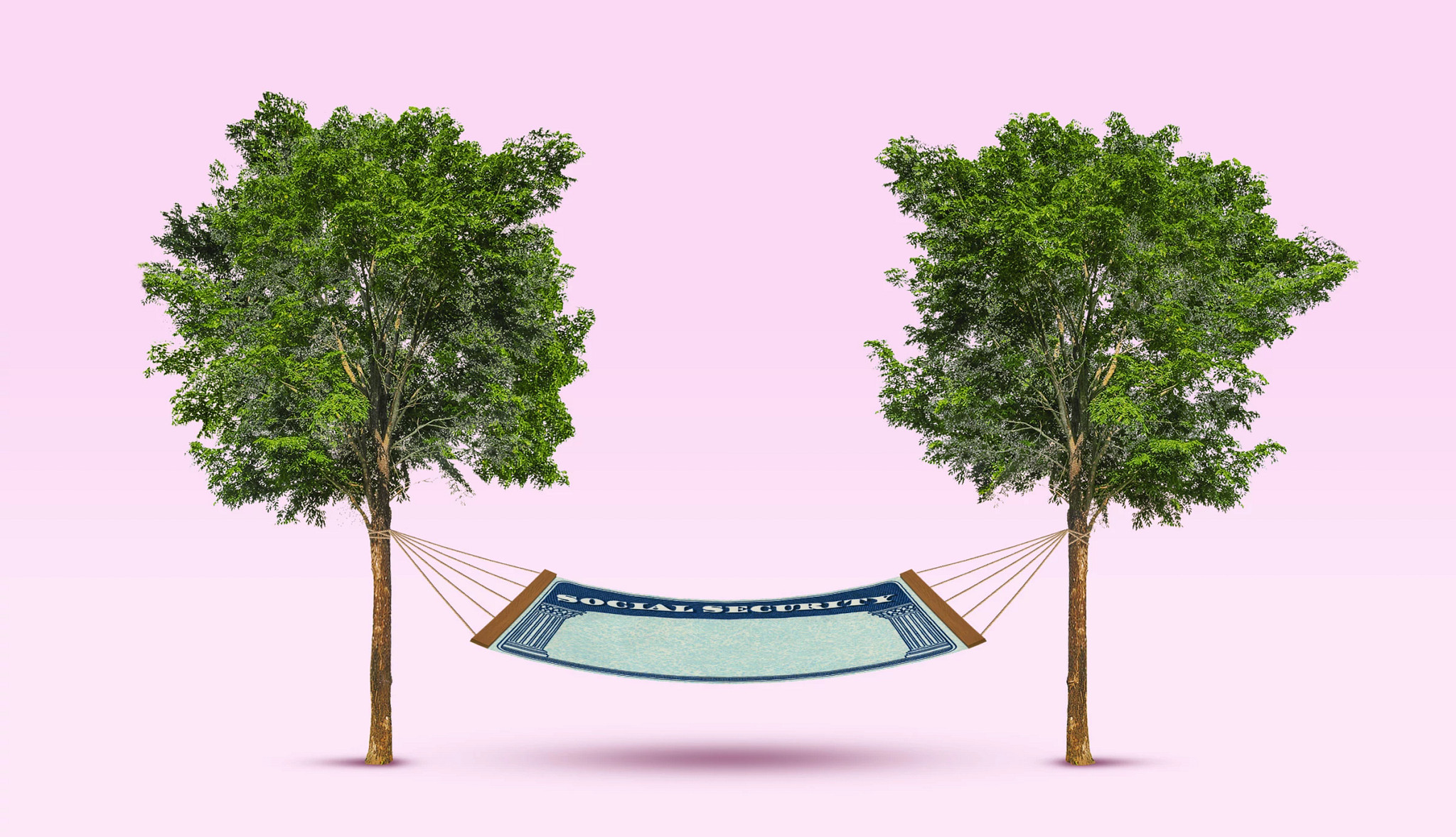 Two trees are pictured with a hammock in between the trees. The hammock is depcited as a Social Security card.