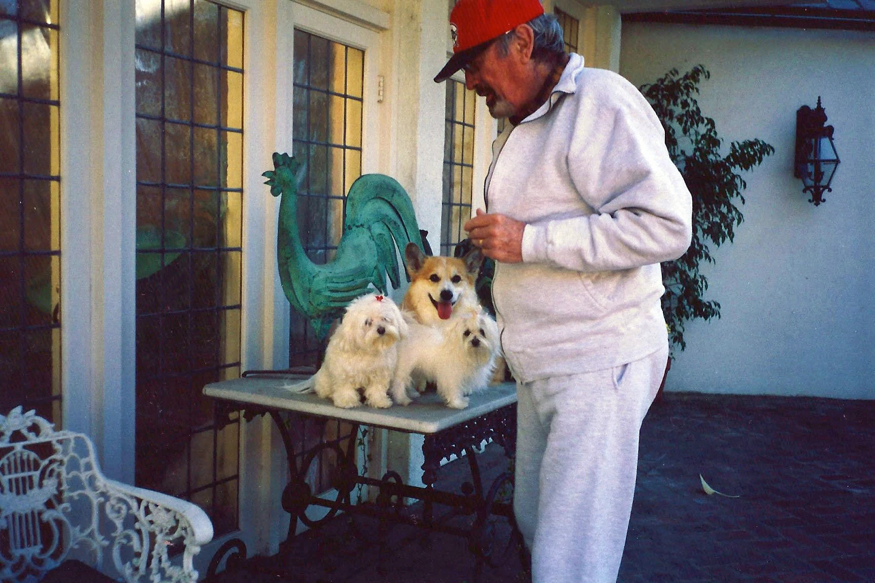 a photo shows Gregory Peck with Ava Gardner’s corgi, Morgan, and his two Maltese, Lou Lou and Cha Cha in 1994