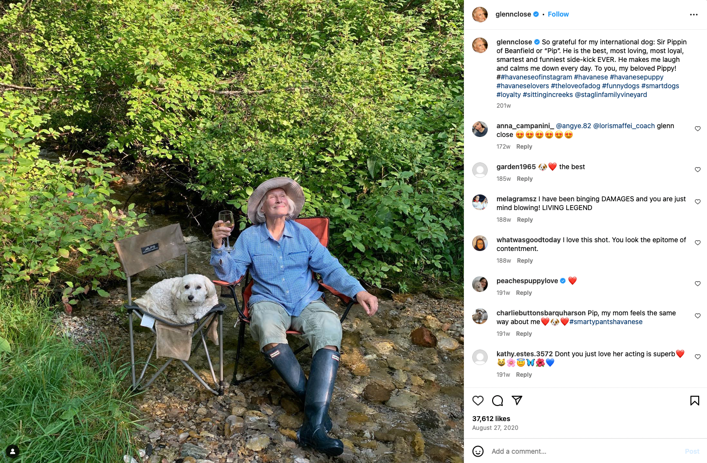 Glenn Close's Instagram post from 2020 of her and her dog sitting in camping chairs while she hold a glass drink