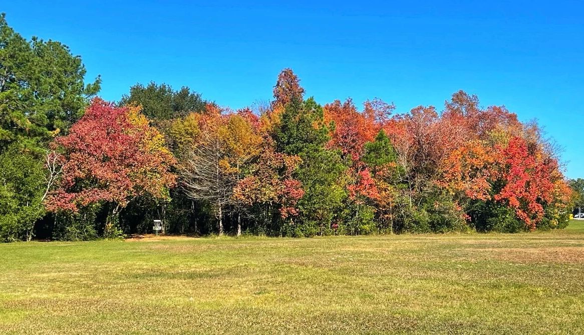 Disc Golf Course Destinations a field with a disc golf basket and trees in the background
