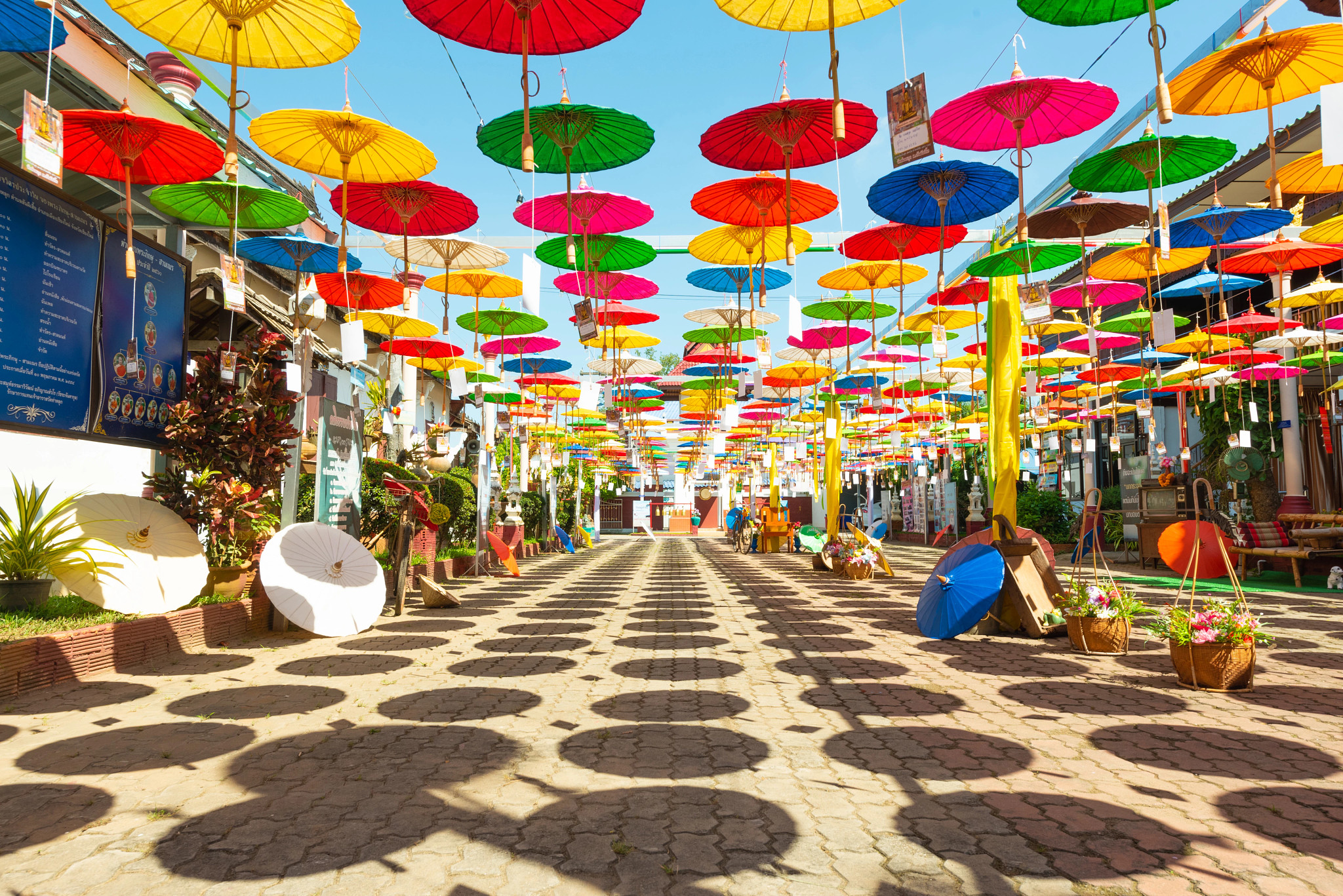 Colorful paper handmade umbrellas in Chiang Mai