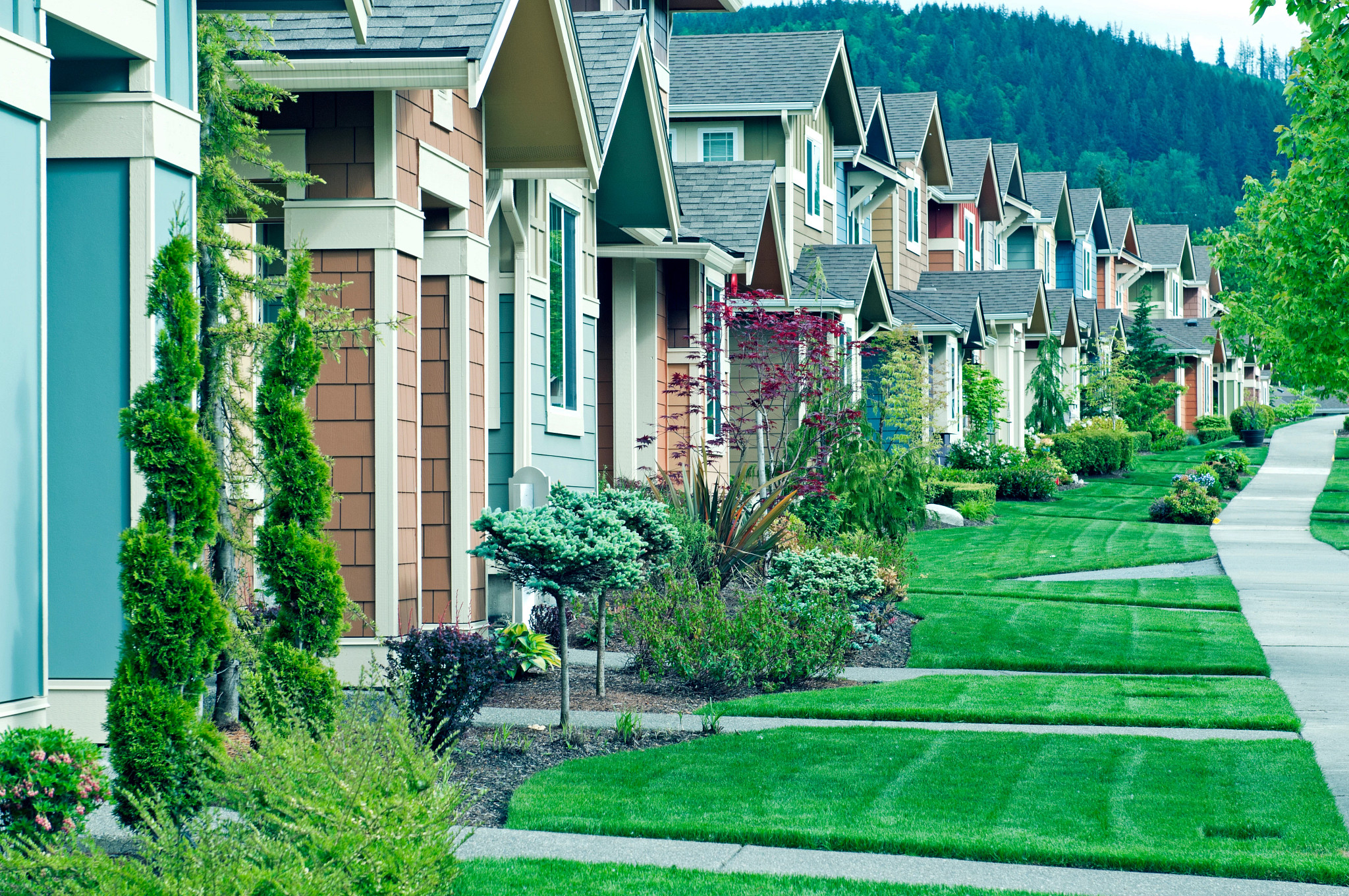 Row of new houses in landscaped middle-class suburb
