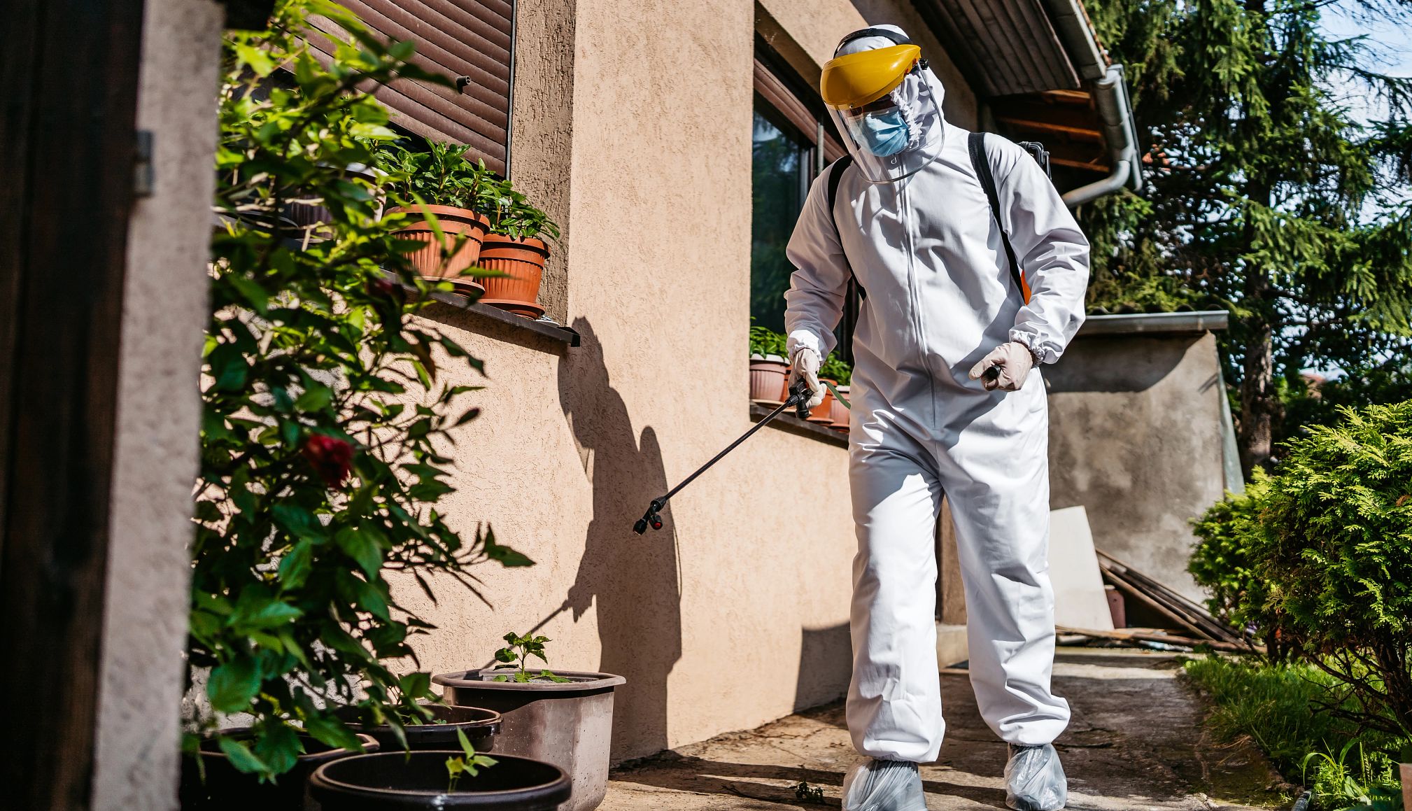 household pests quiz an exterminator sprays the outside of a home