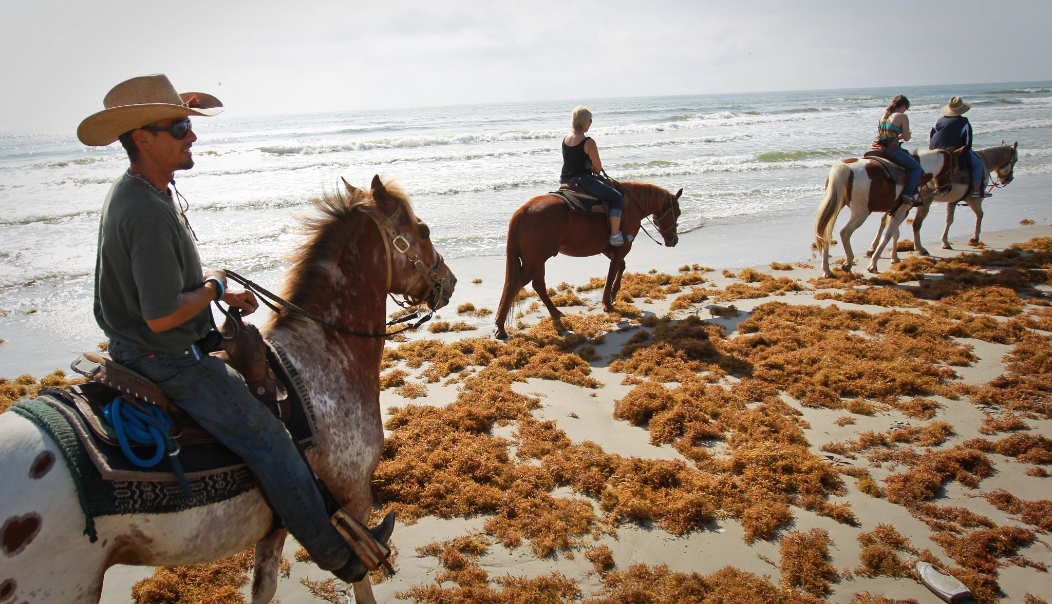Beach in Corpus Christi, TX People riding horses on beach
