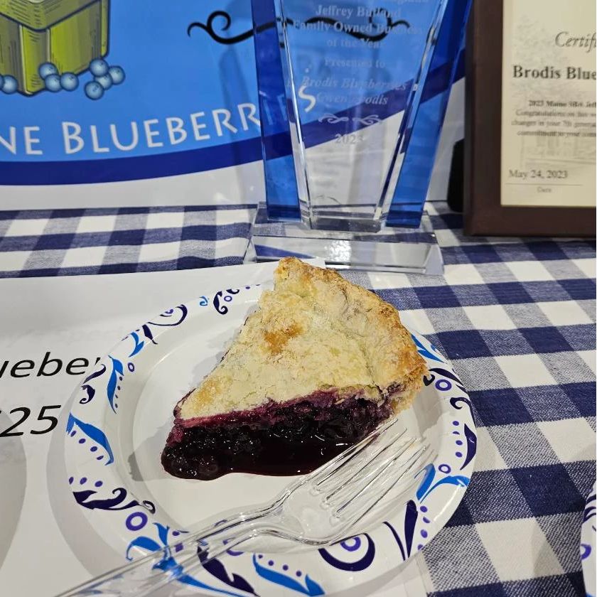 Brodis Blueberries a slice of blueberry pie on a plate