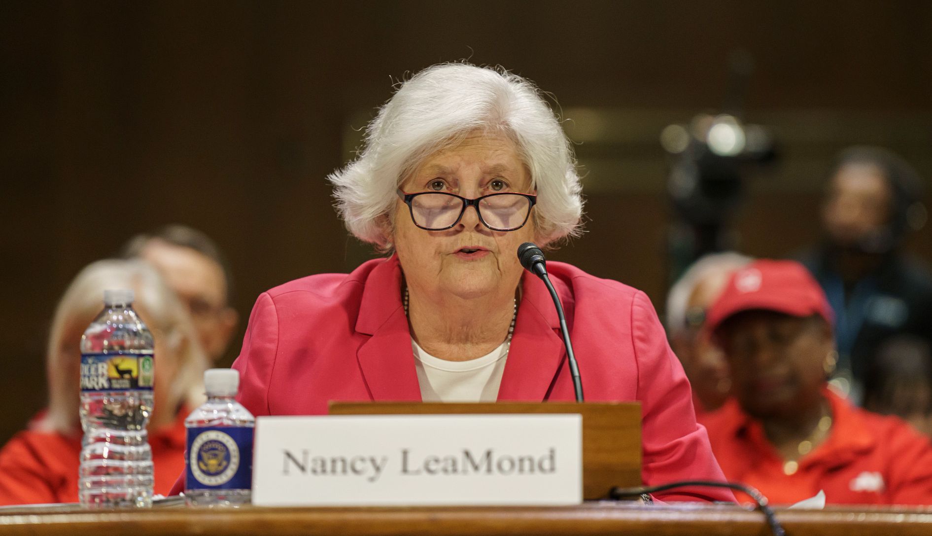 As Older Adults Look for Jobs, Bias Hampers Search a person speaking at a hearing