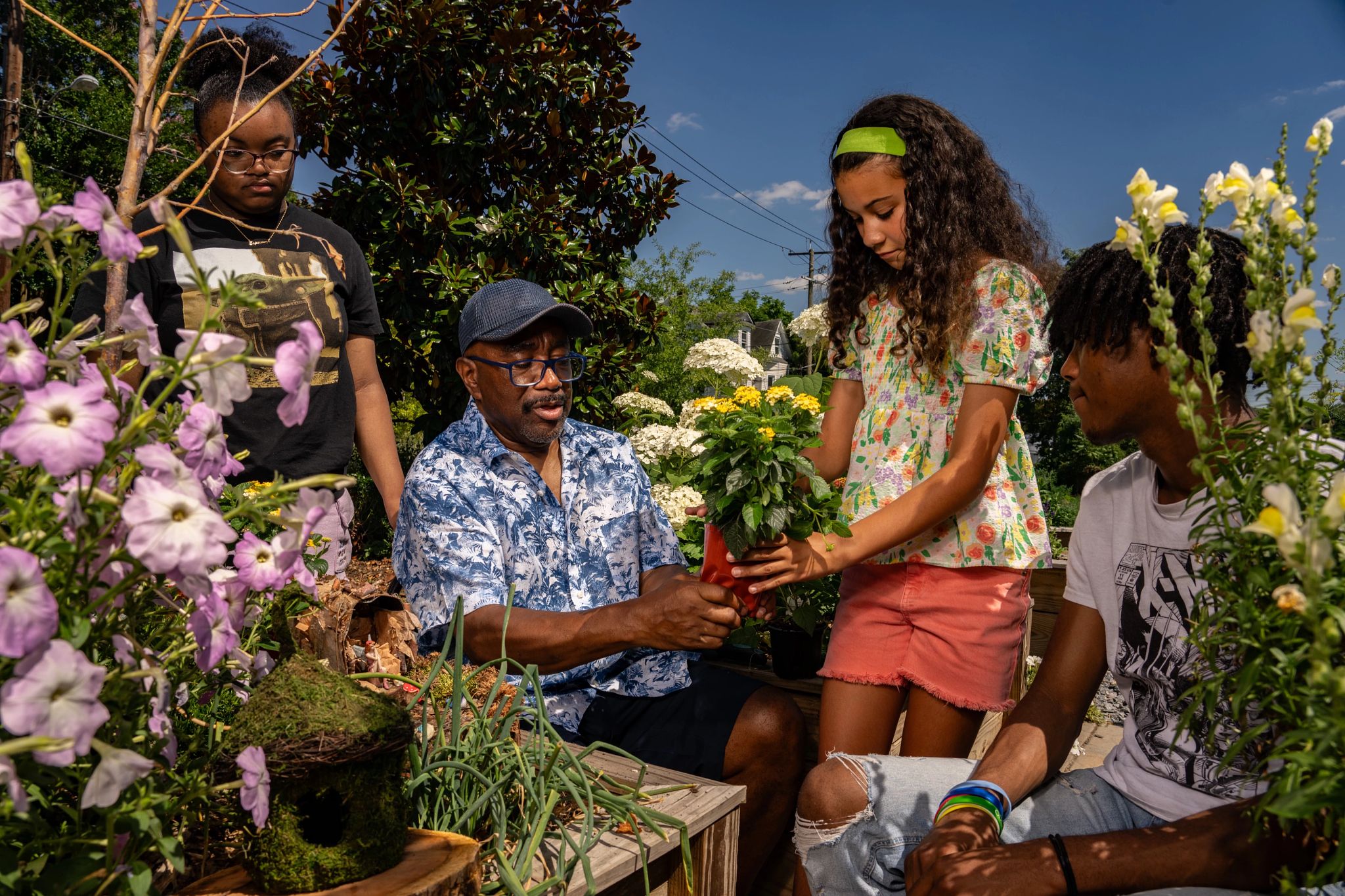 Cameron coloca una variedad de flores alrededor de su jardín de hadas