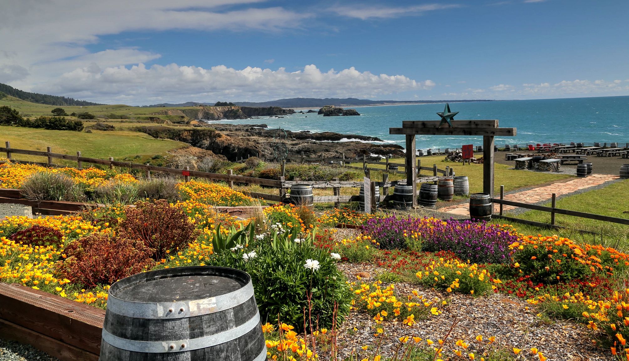 Pacific Star Winery overlooks the Pacific Ocean
