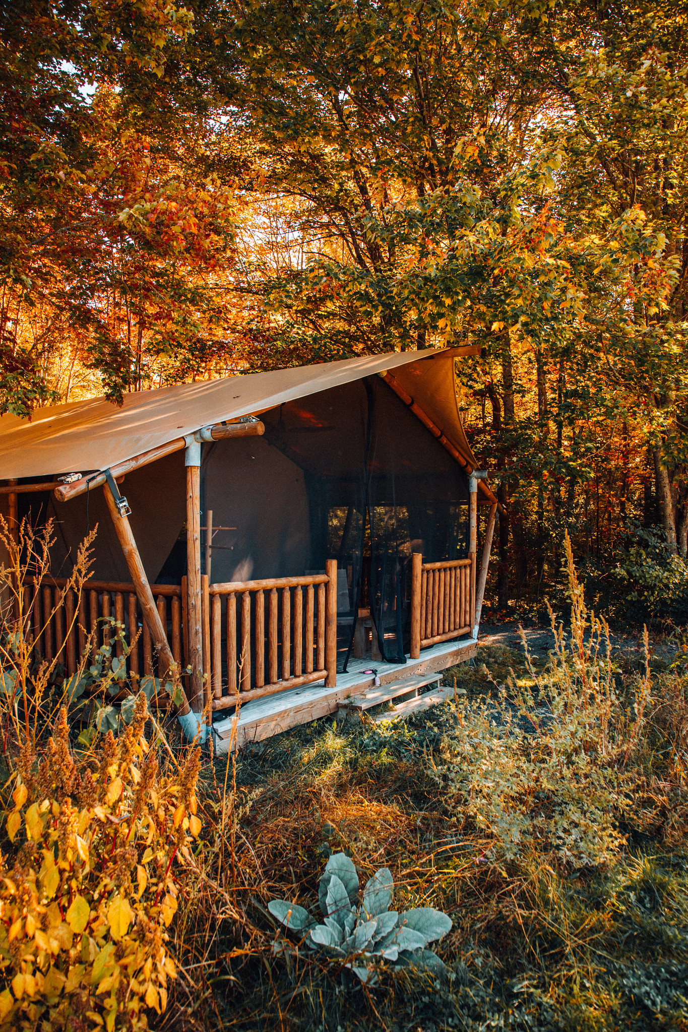 Terramor Outdoor Resort