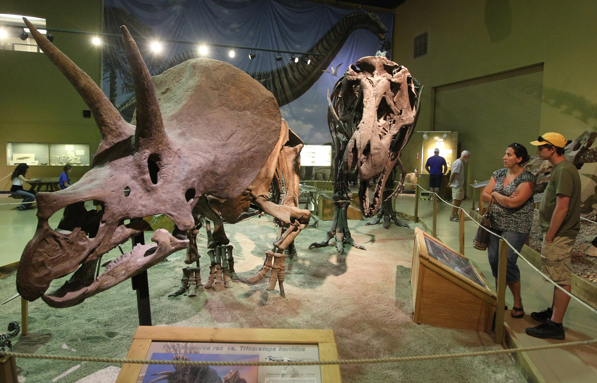 fossils at the Wyoming Dinosaur Center