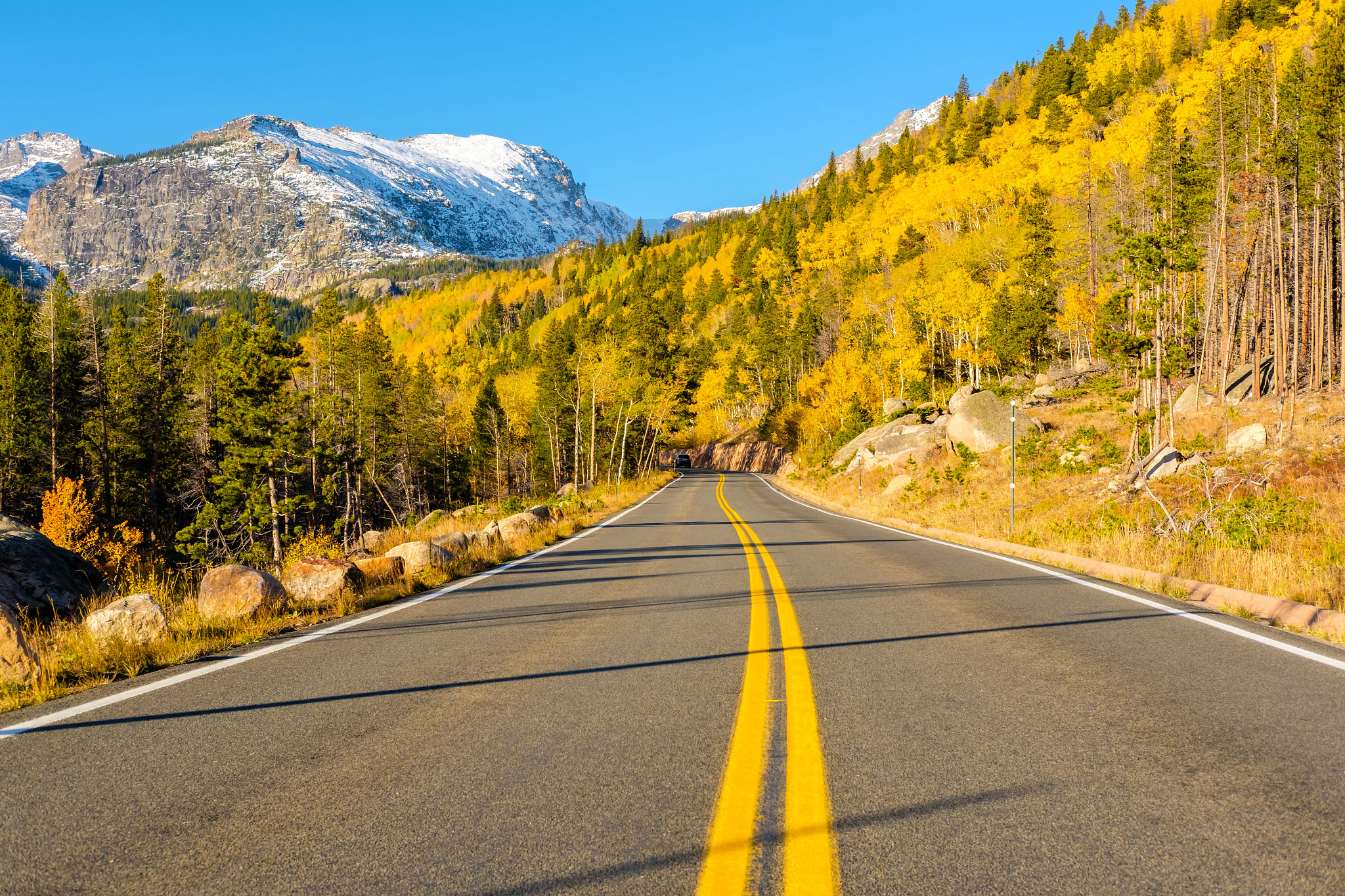 a road winding through the Rocky Mountains