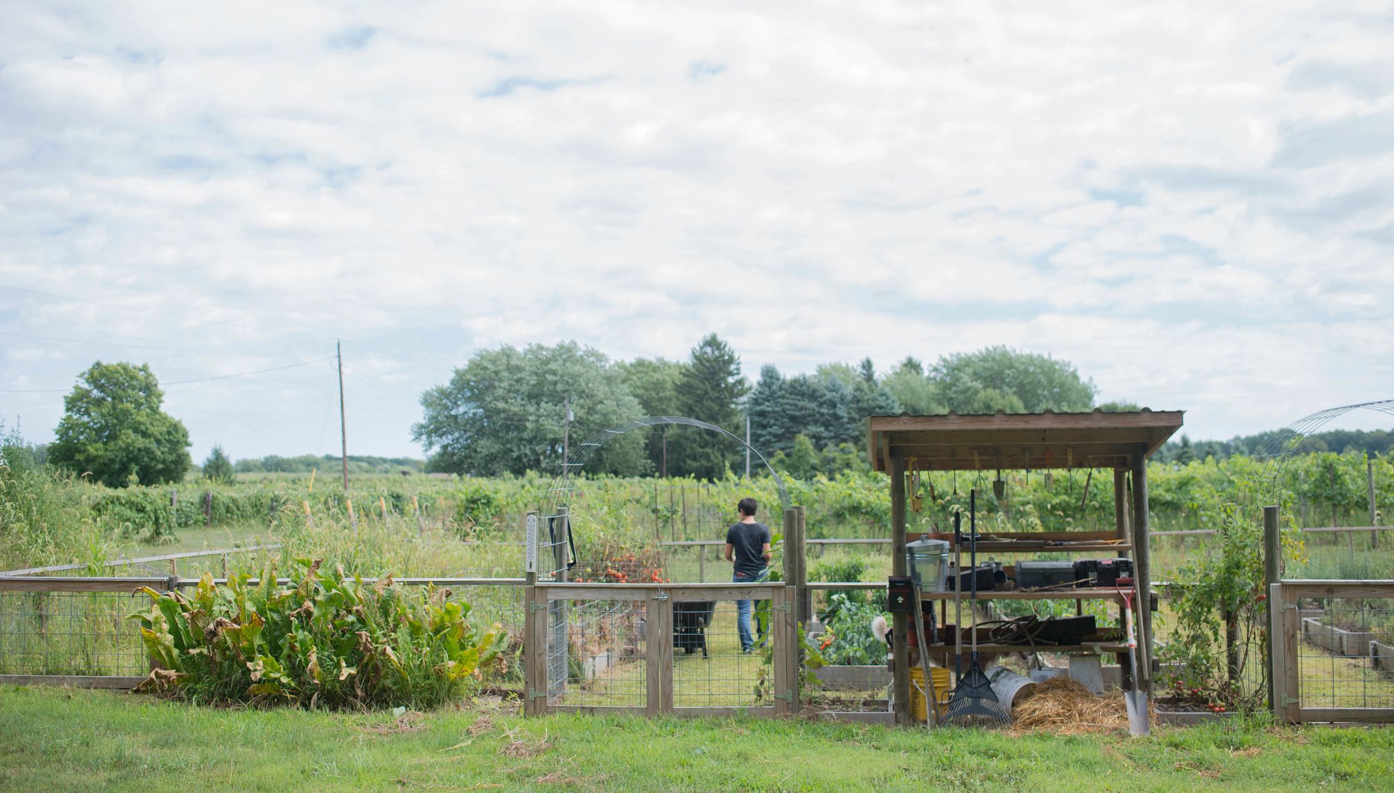 Mulln-Heim Vineyards