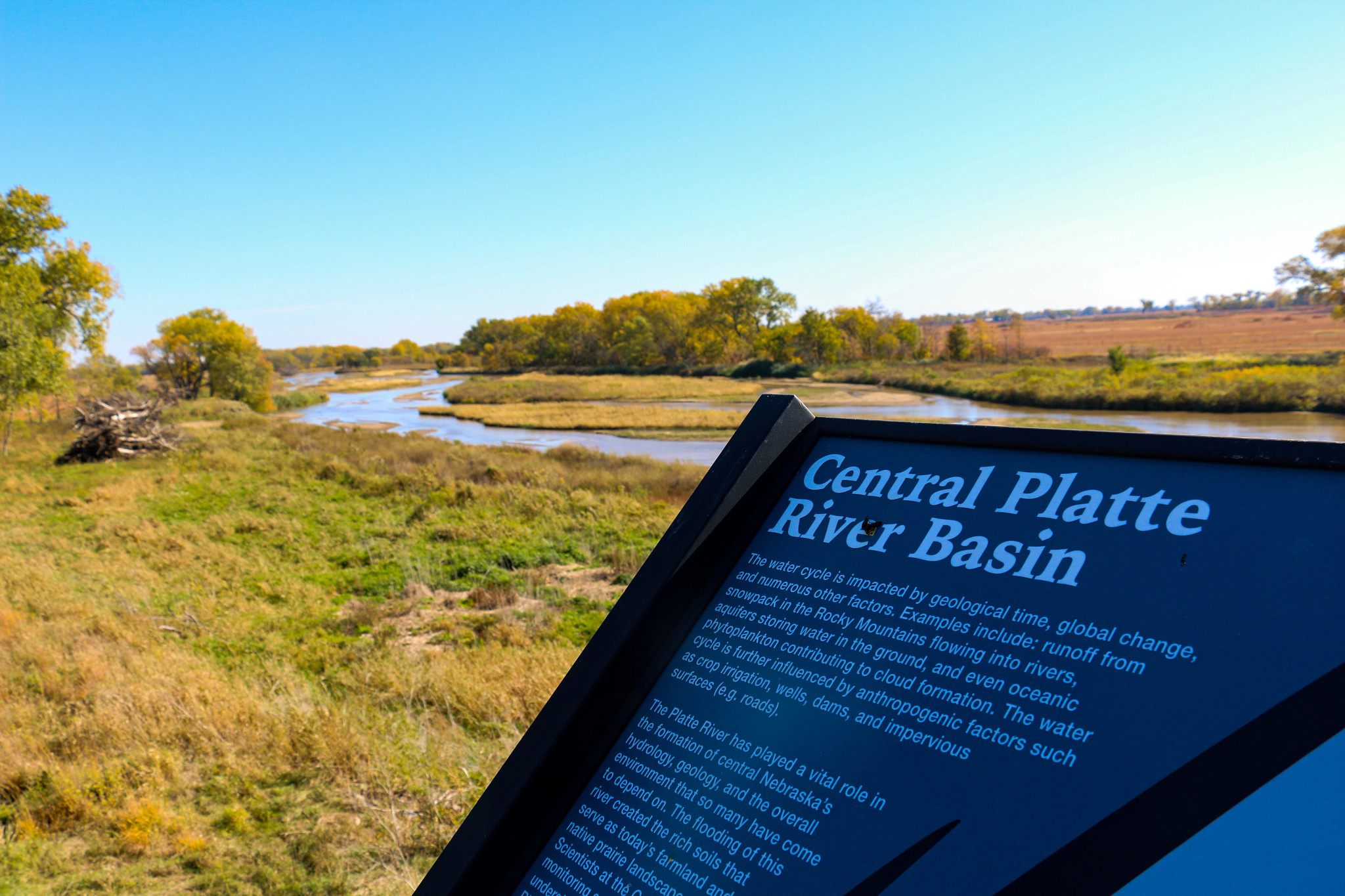 Roughly 80 percent of the world’s sandhill cranes will stop in Nebraska
