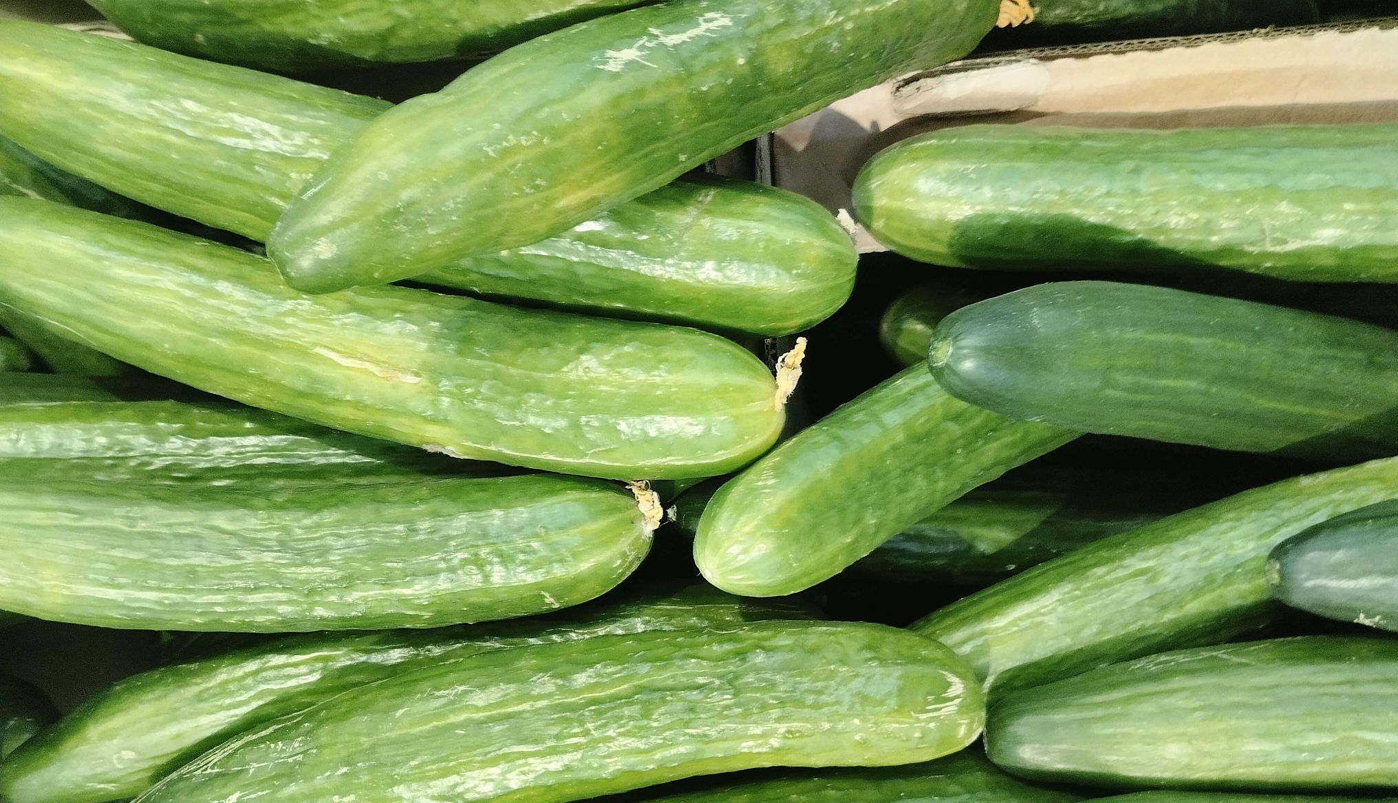 Cucumber Recall cucumbers