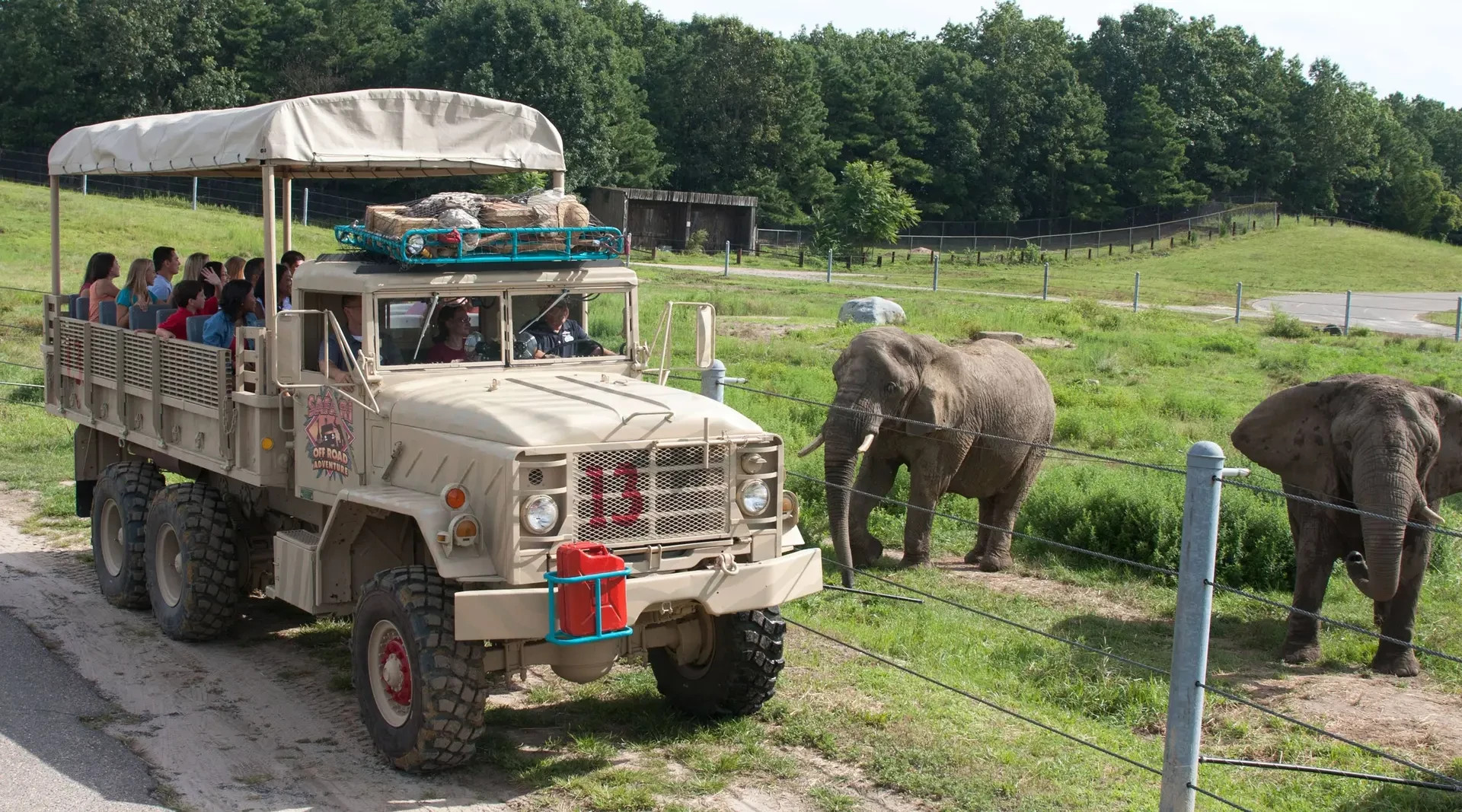 people on a safari