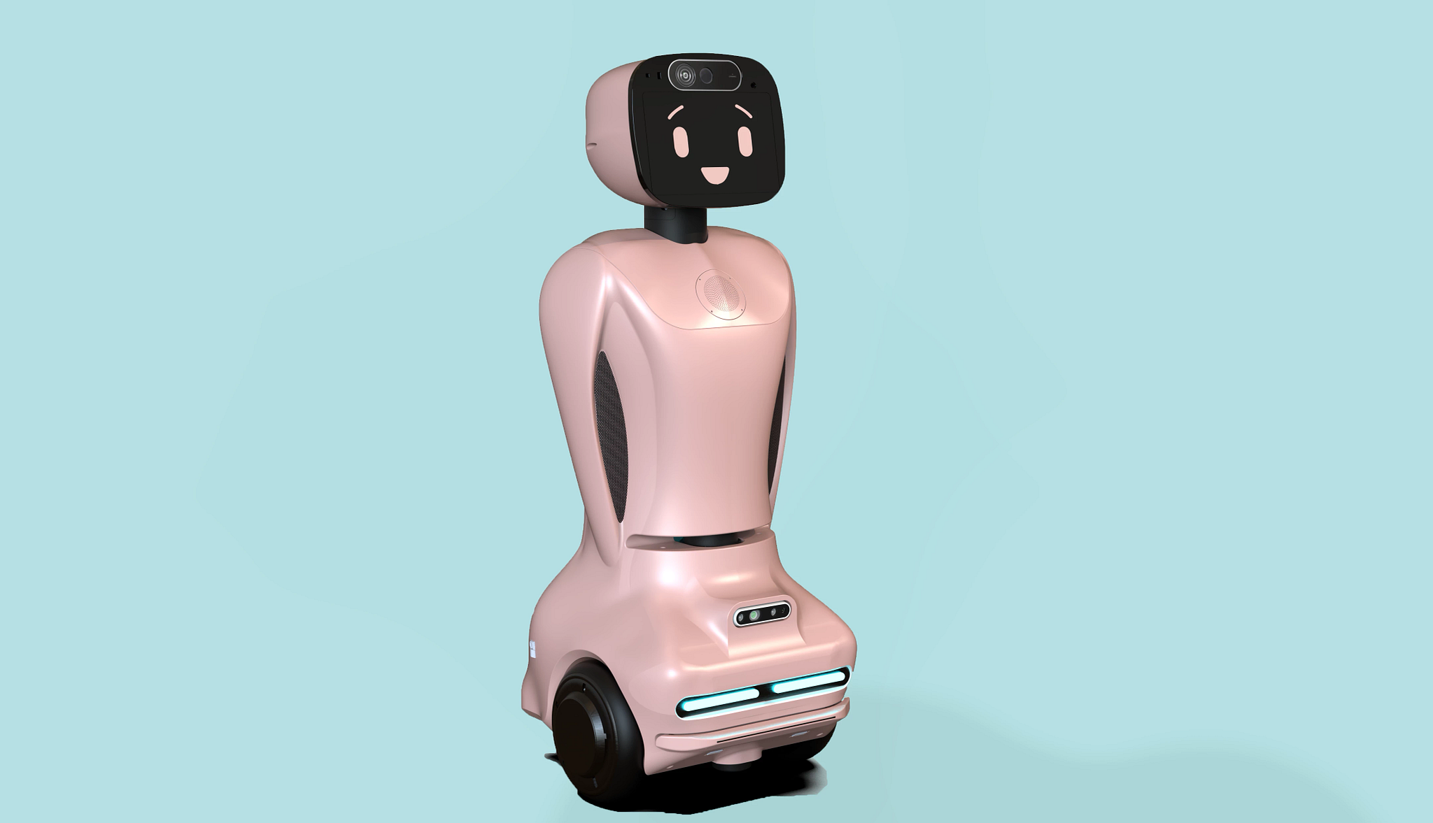 Ruyi Dementia Care Robot