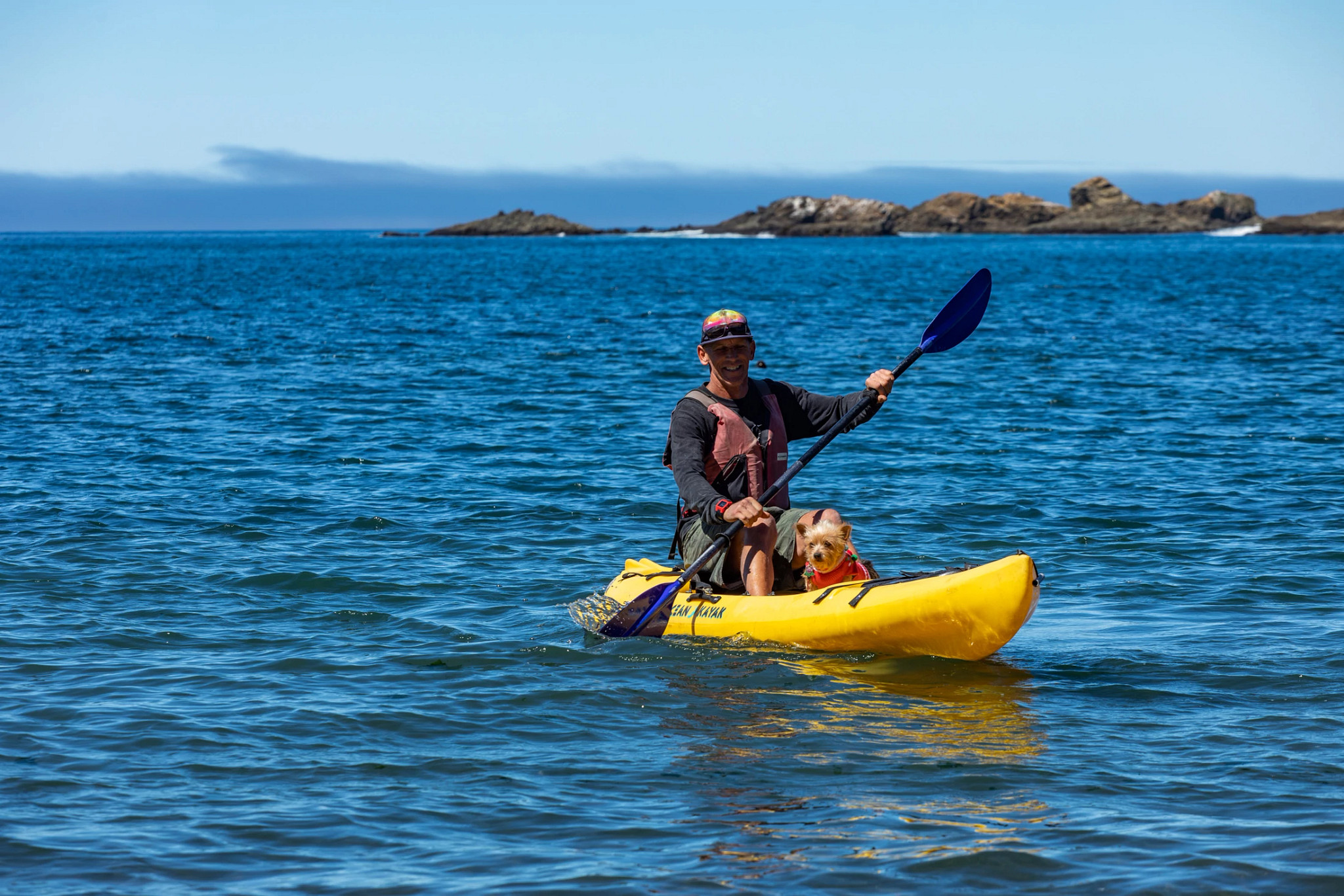 a dog and man in a kayak