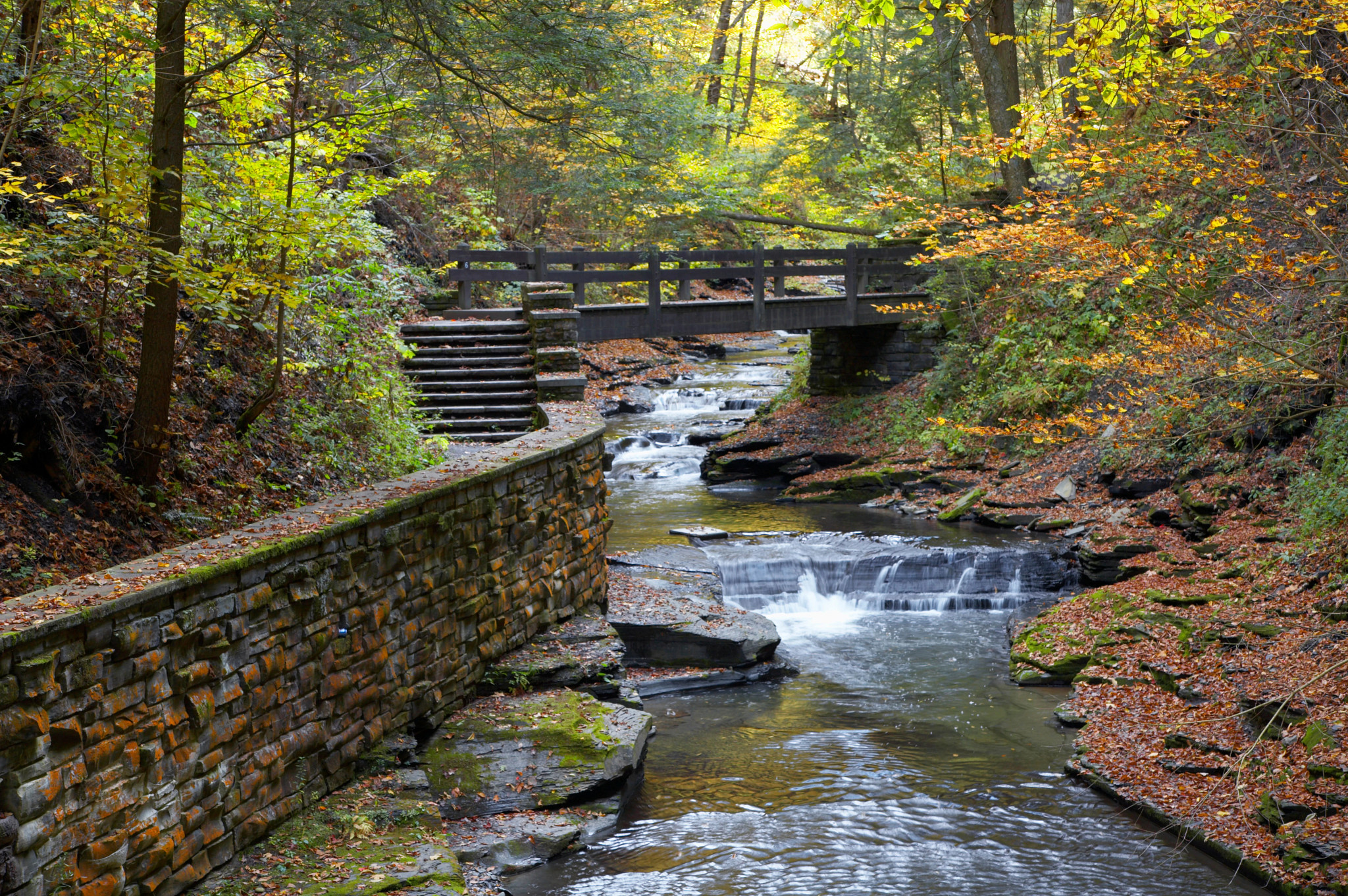 a bridge over a creek surronded by trees