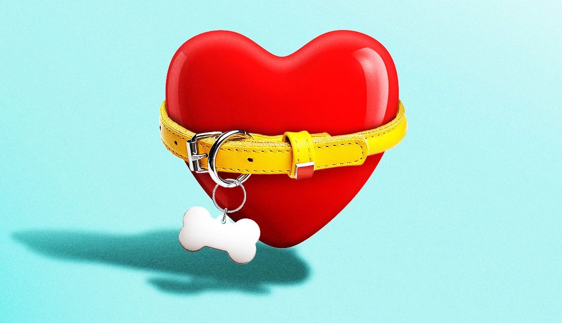 AARP Smart Guide to Pet Adoption a heart with a dog collar around it