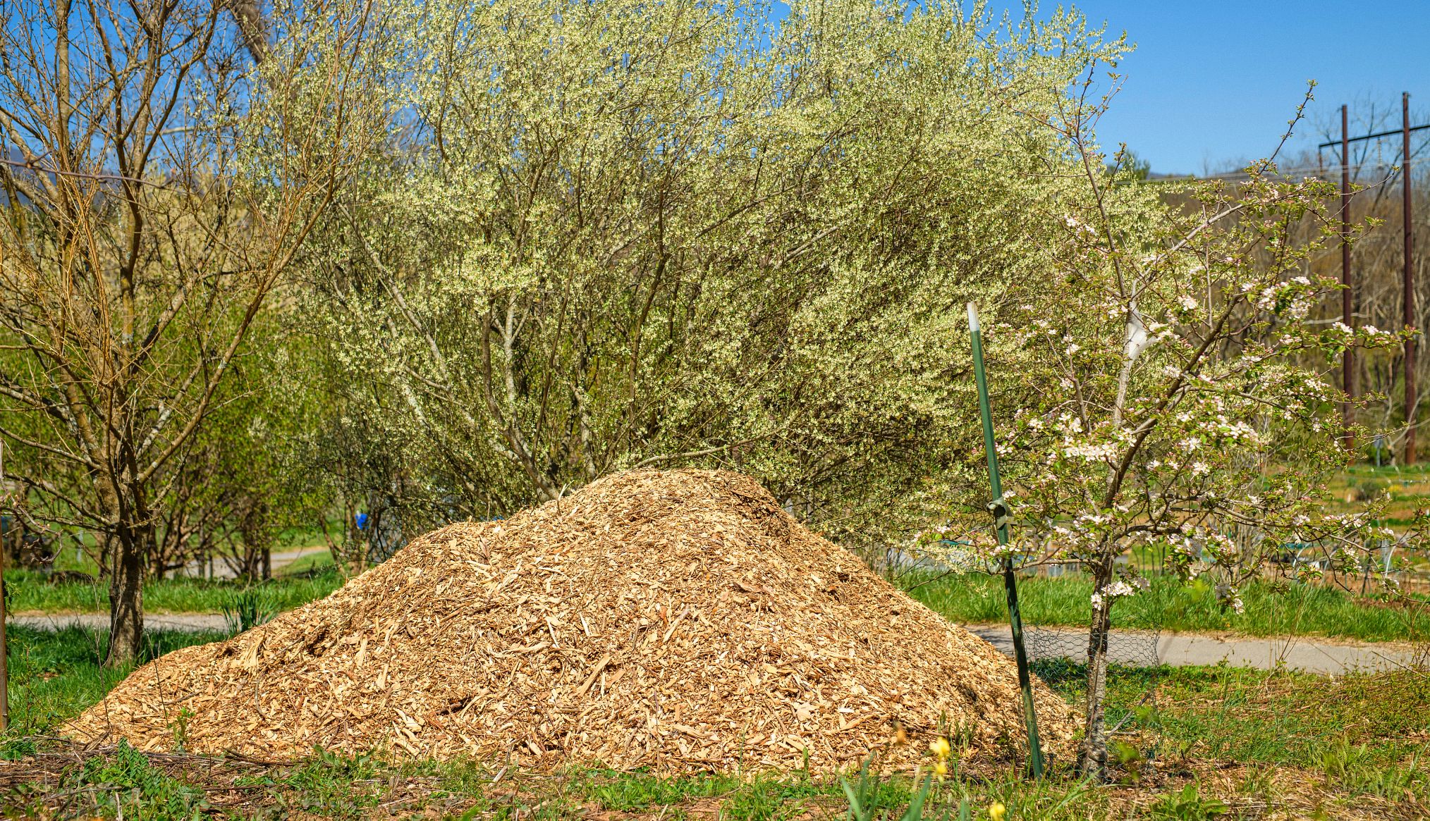organic mulch is made of natural materials a pile of organic mulch