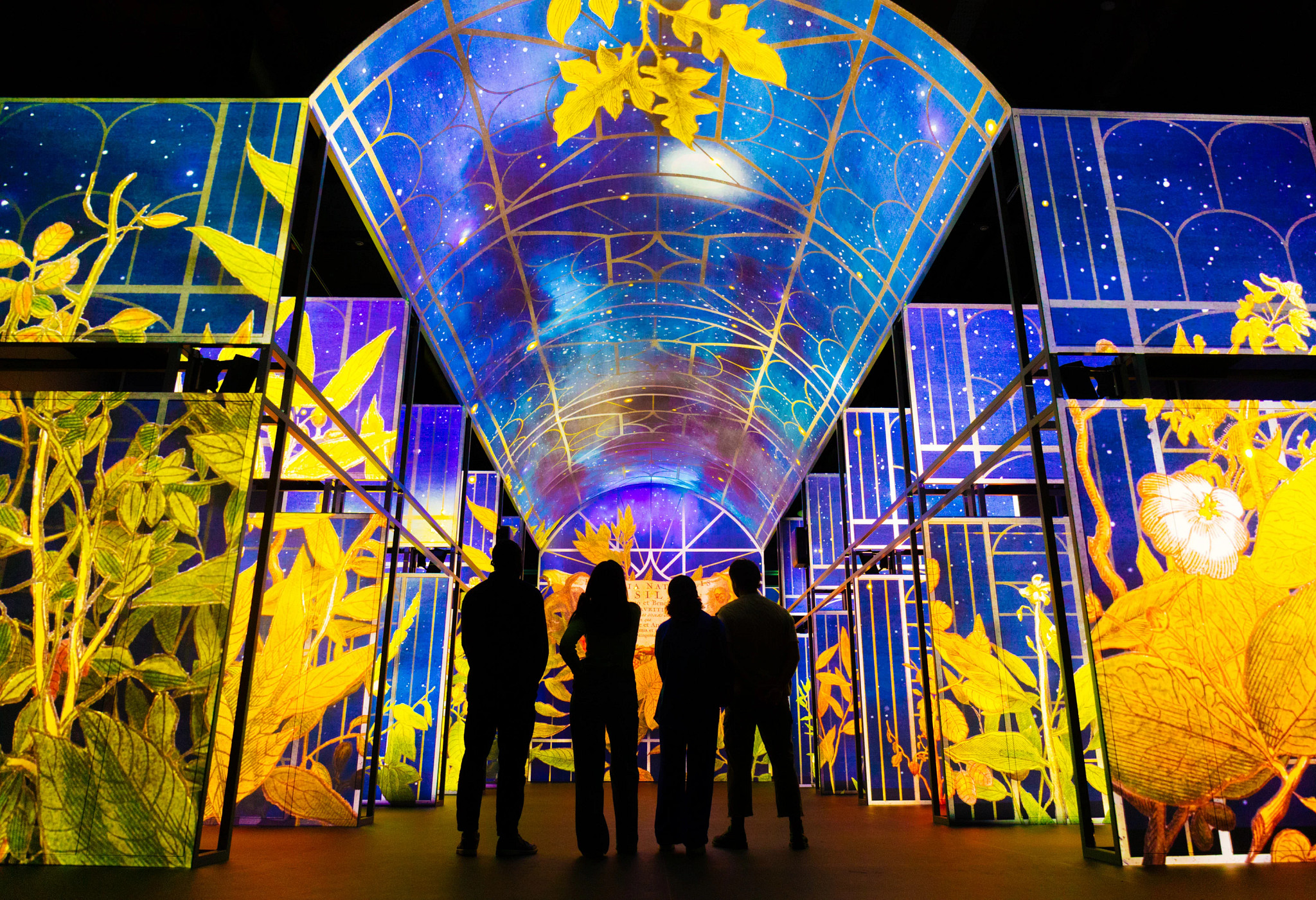 people viewing a colorful, immersive digital presentation at a library in ireland
