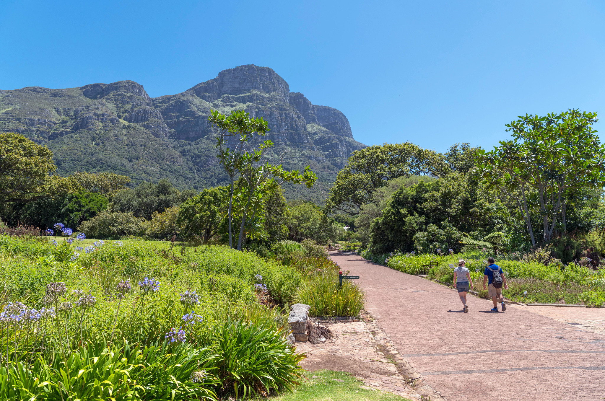 Kirstenbosch National Botanical Garden