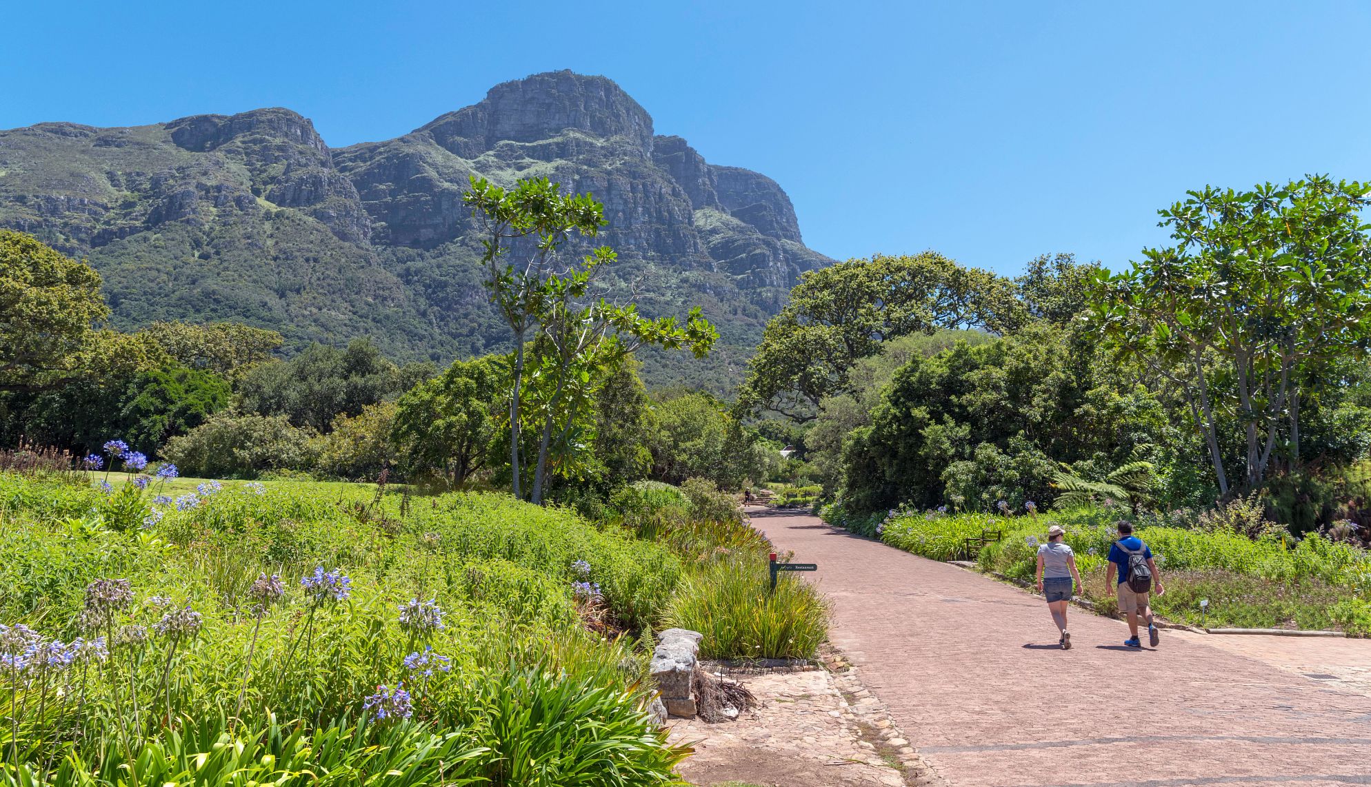 Botanical Gardens Kirstenbosch National Botanical Garden
