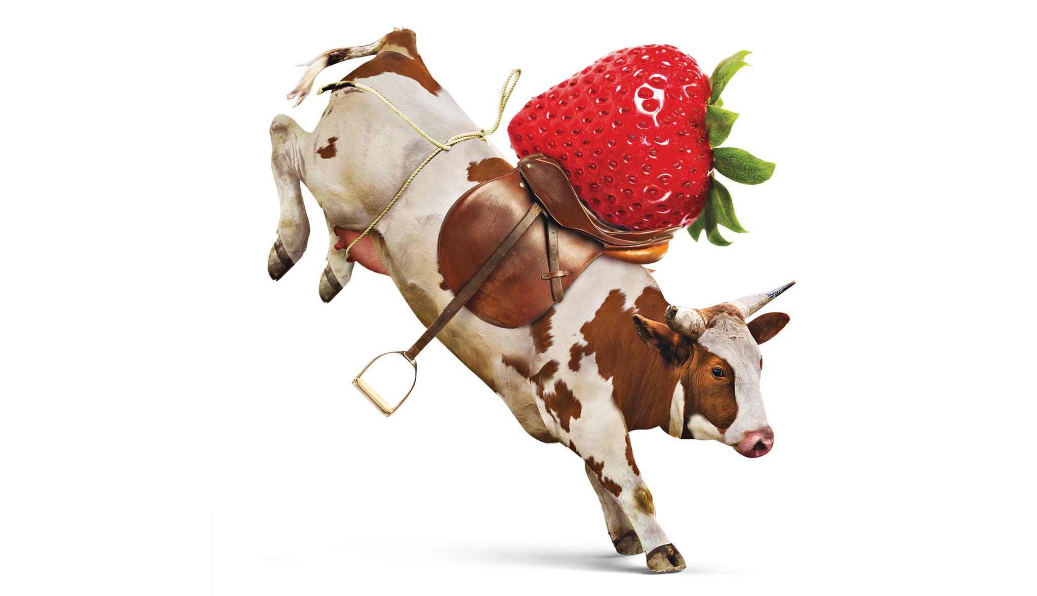 Arte de una fresa gigante sobre una vaca en movimiento.