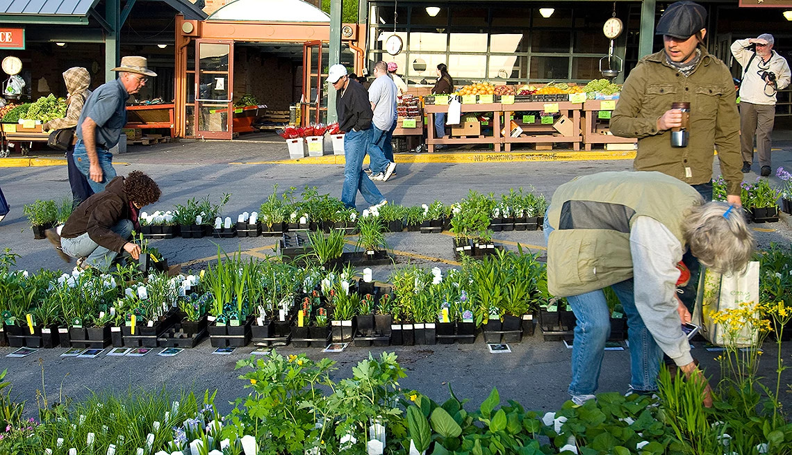 Flowers and plants for sale at City Market, Kansas City, Missouri