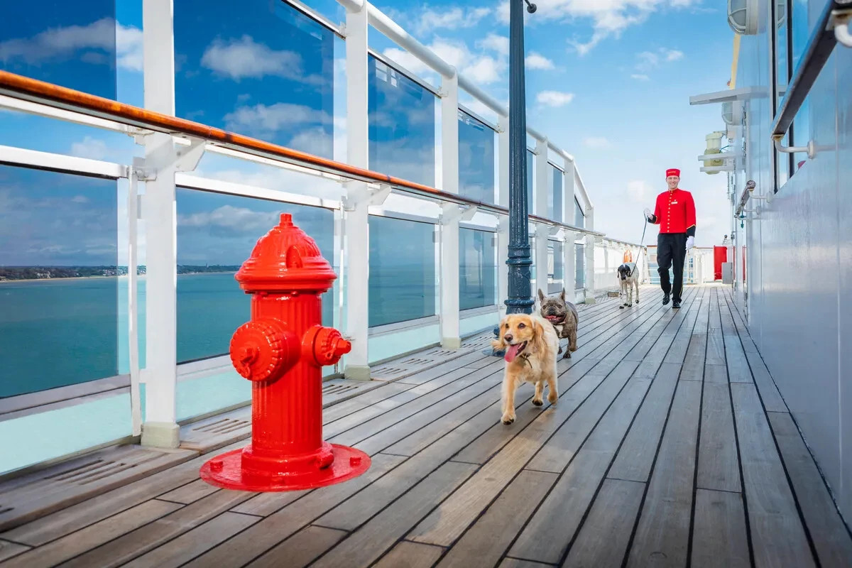 a dog running on deck with a fire hydrant