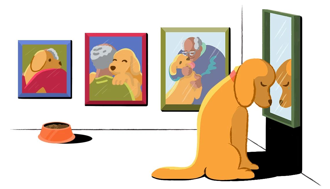 Pets grieve too Illustration of dog looking sad in mirror; three pictures of dog hugging a human on the wall