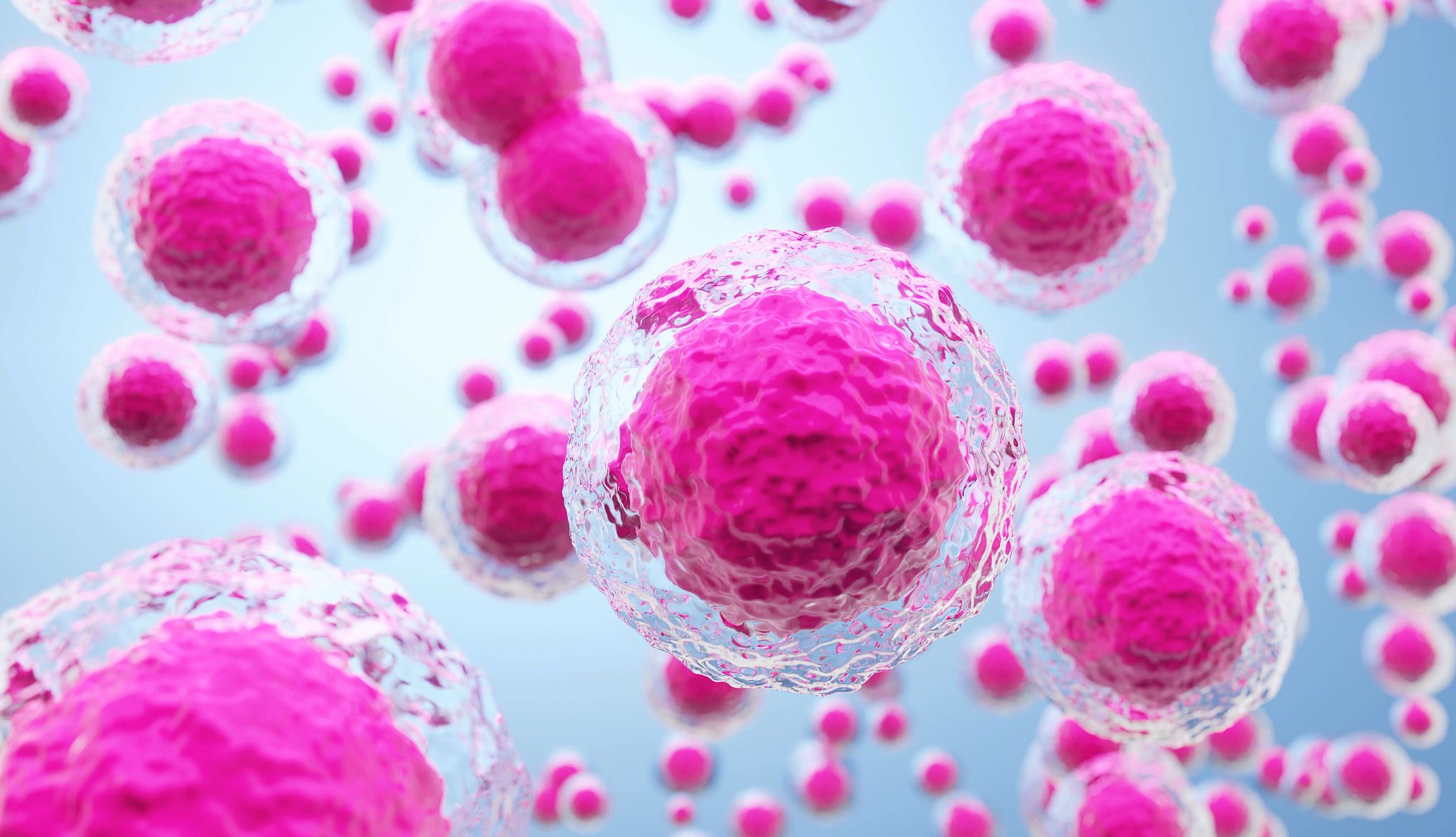 Los tratamientos con células madre Ilustración en 3D de células madre o células humanas.