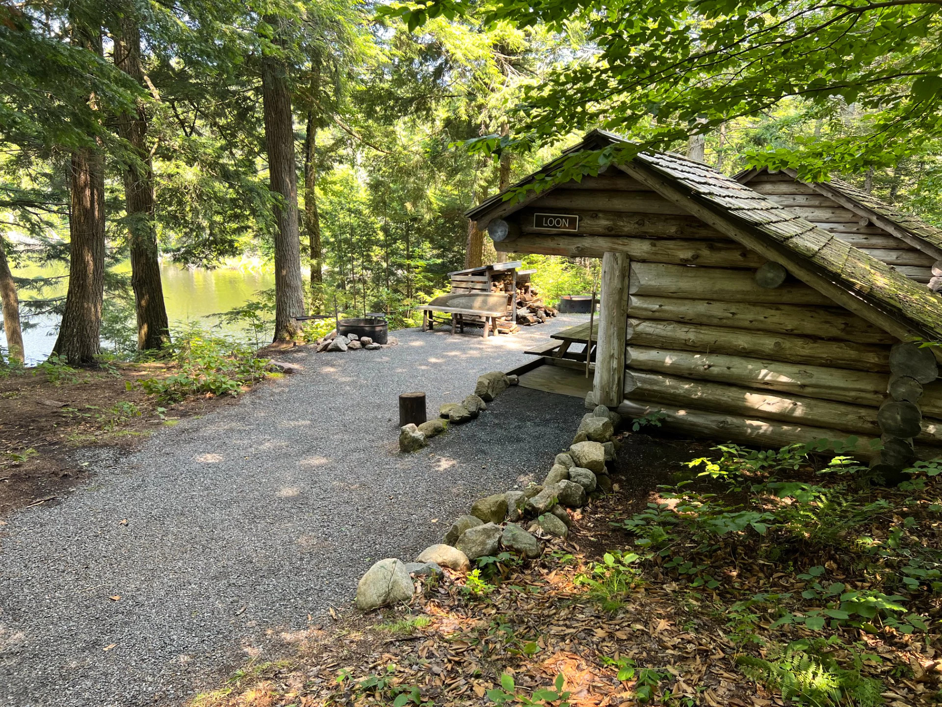 a campsite in a forest