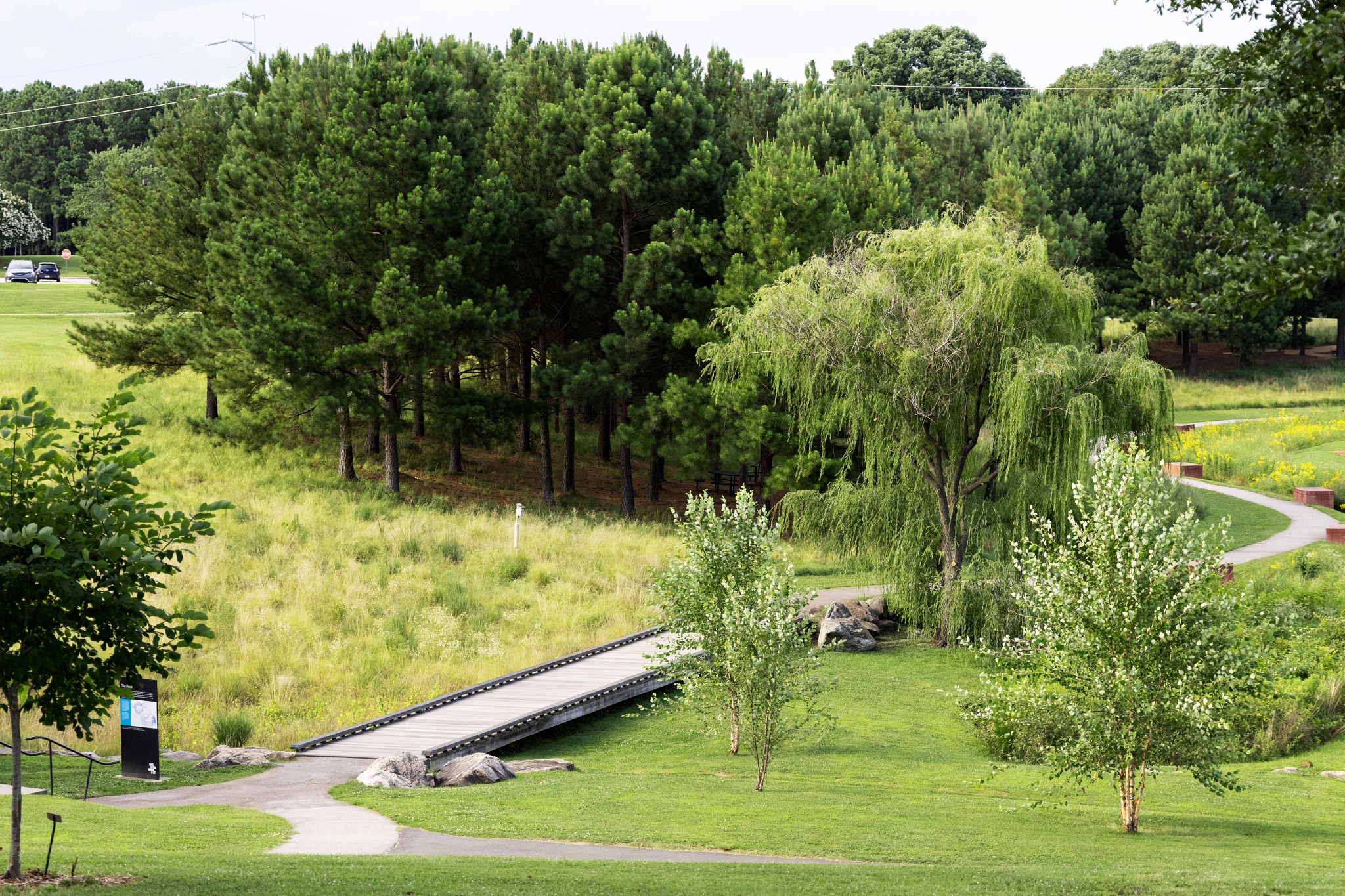 a boardwalk at a garden