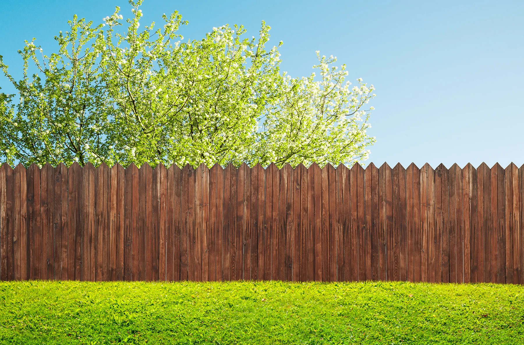 wood stained picket fence in green yard with tree behind it