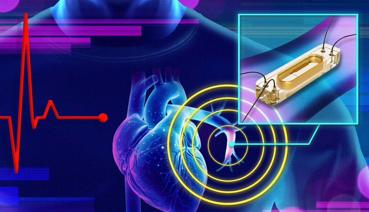 Heart Failure Breakthrough Offers Hope
