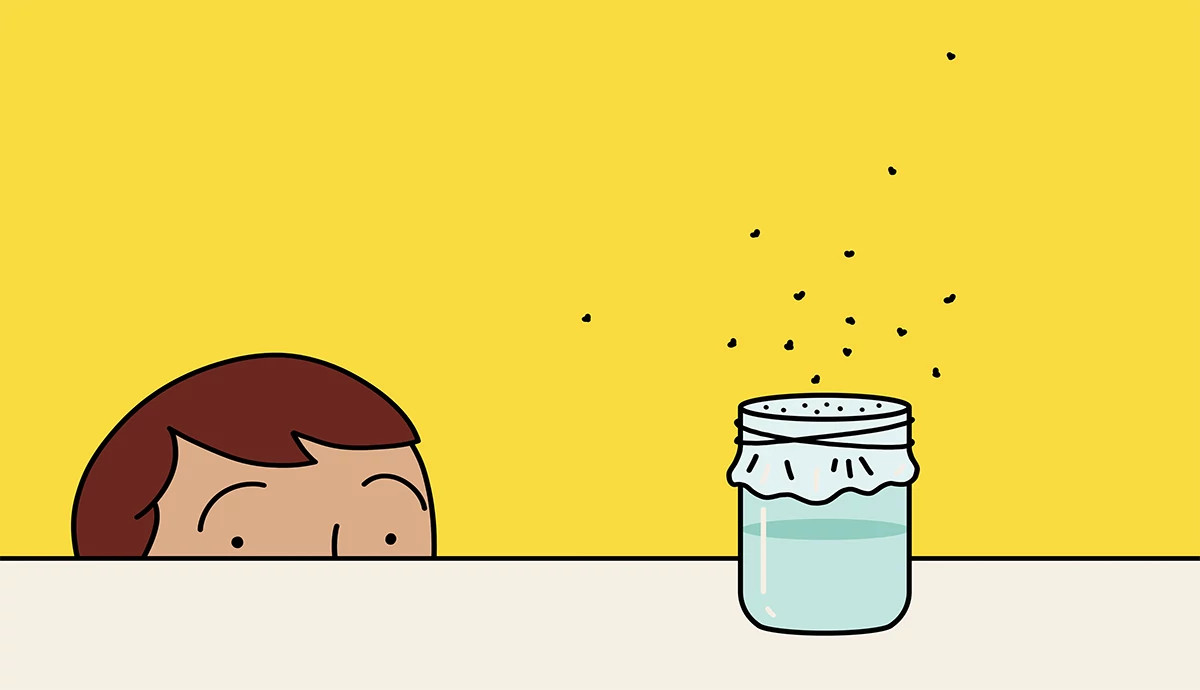 an illustration shows a mason jar full of vinegar attracting fruit flies