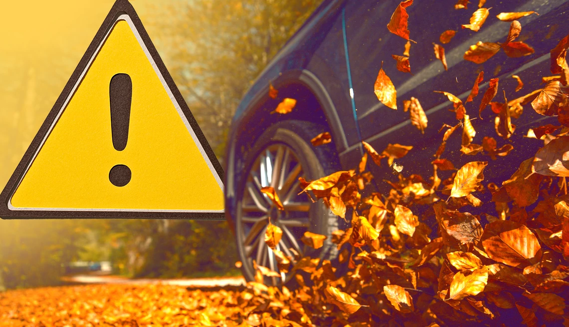 Fall Driving Hazards and Tips to Stay Safe a warning sign while a car is driving down a road in the fall
