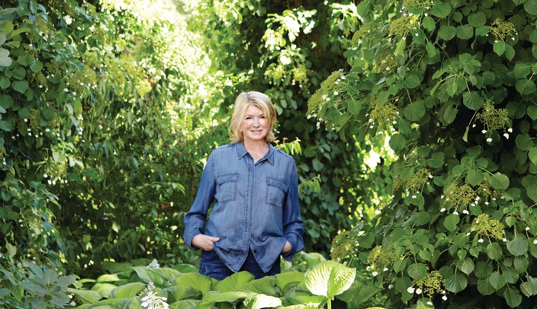 Martha Stewart Martha Stewart