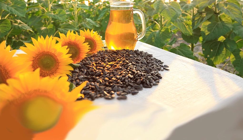 Eating sunflower seeds can help you up your vitamin E levels An up-close view of a pile of sunflower seeds in a sunflower field