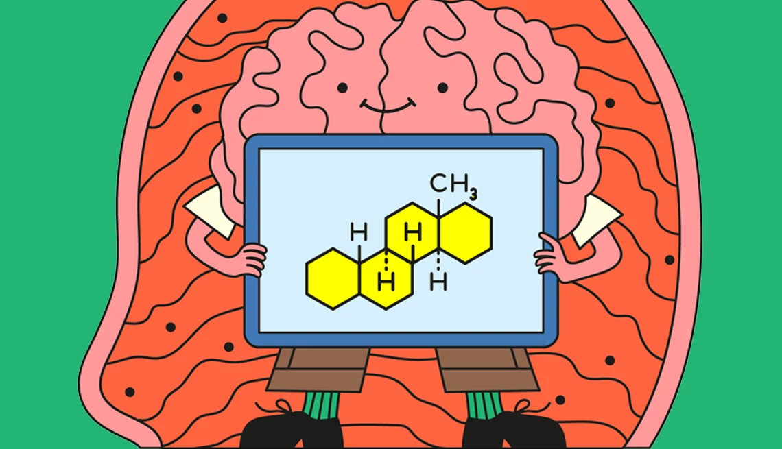 Illustration of brain
