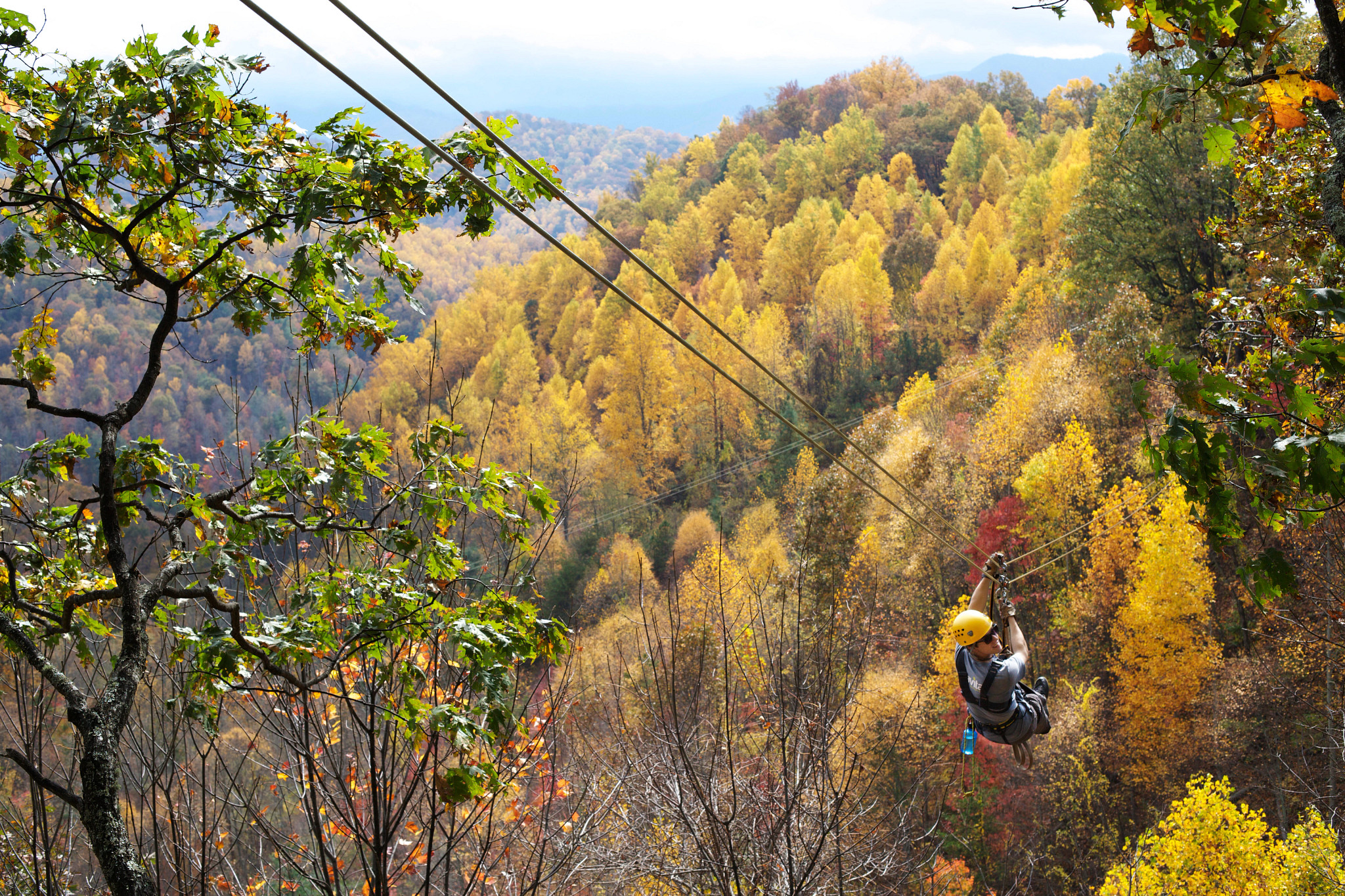 a man ziplines among the autumn trees