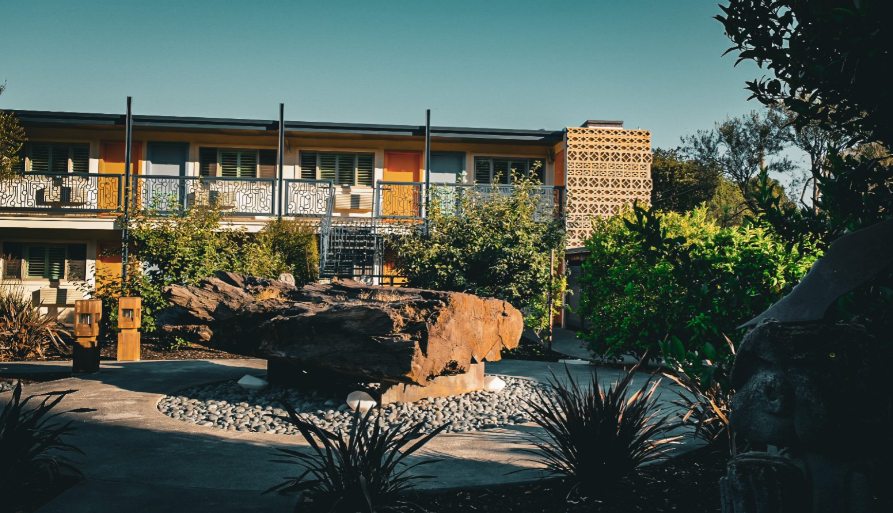 A Local’s Guide to Napa and Sonoma Wine Country The Astro