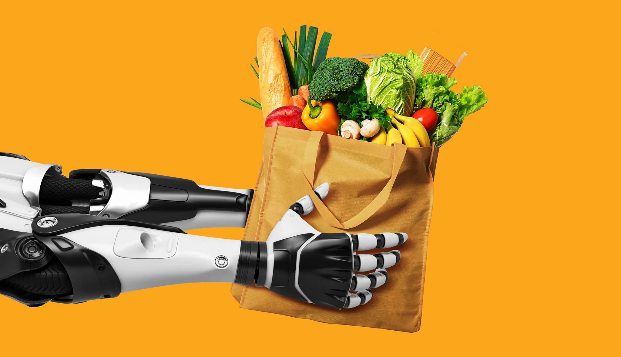 Future of Grocery Shopping robot arms hold a grocery bag of fresh produce