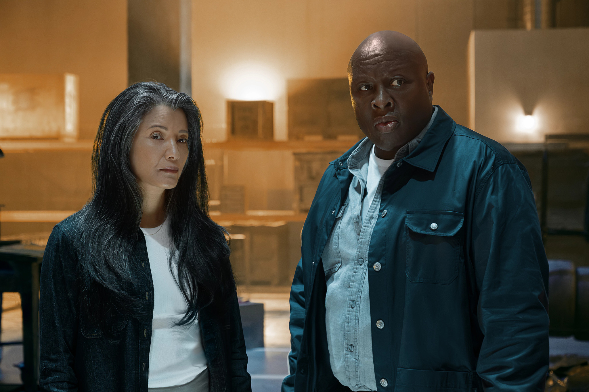 Kelly Hu as Veronica Jin and Steve Harris as Von Bryant in a still from B M F