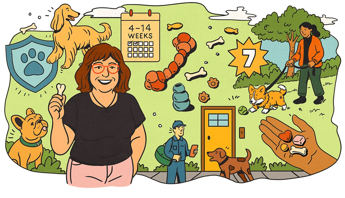 Dog Training Tips An illustrated collage shows an older adult woman with a dog treat in her hand. Also in the collage; various types of dog food, a calendar schedule, chew toys, a dog being walked, and a mailman.
