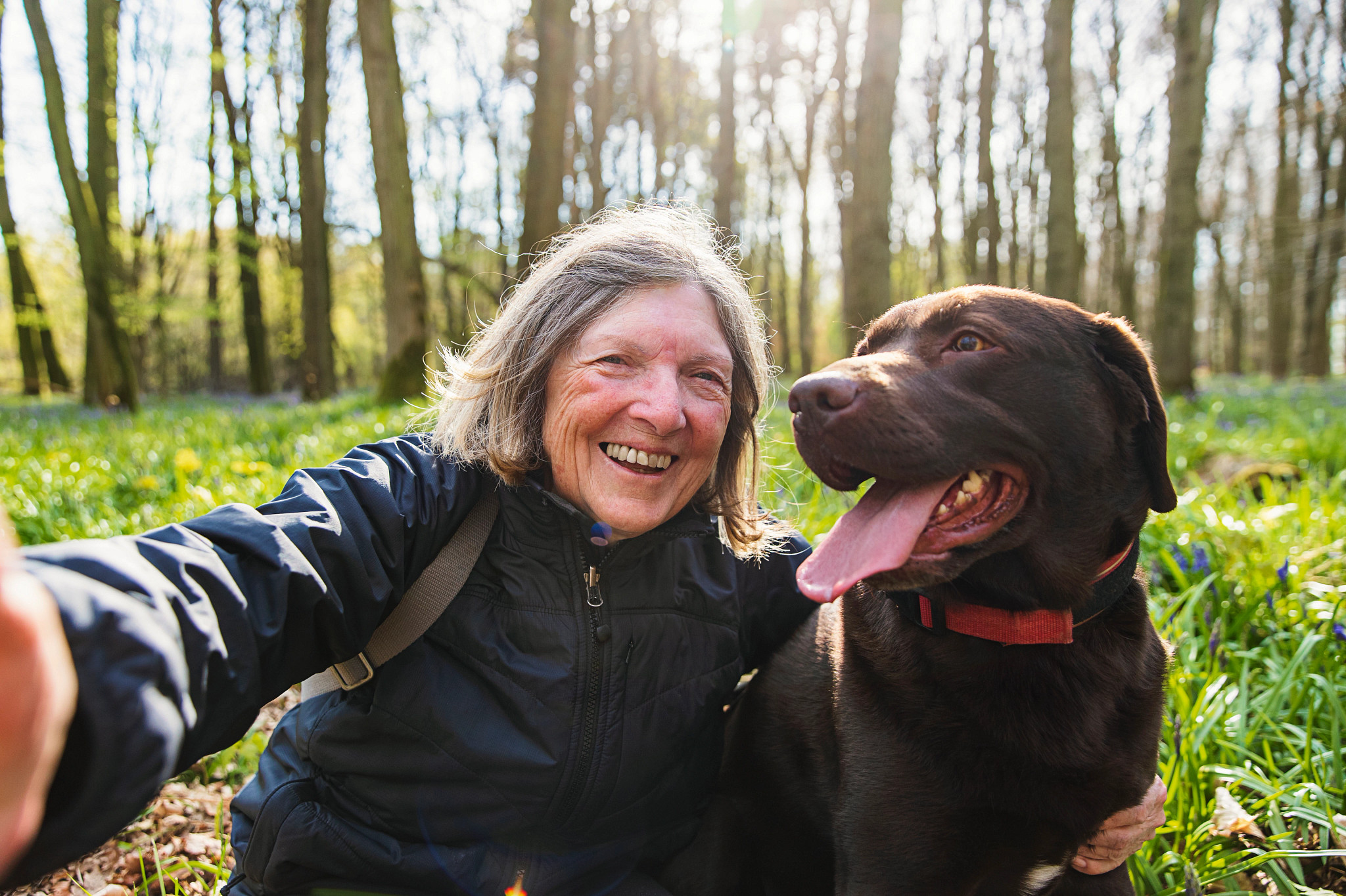 older woman takes selfie with chocolate lab dog while outside in the forest